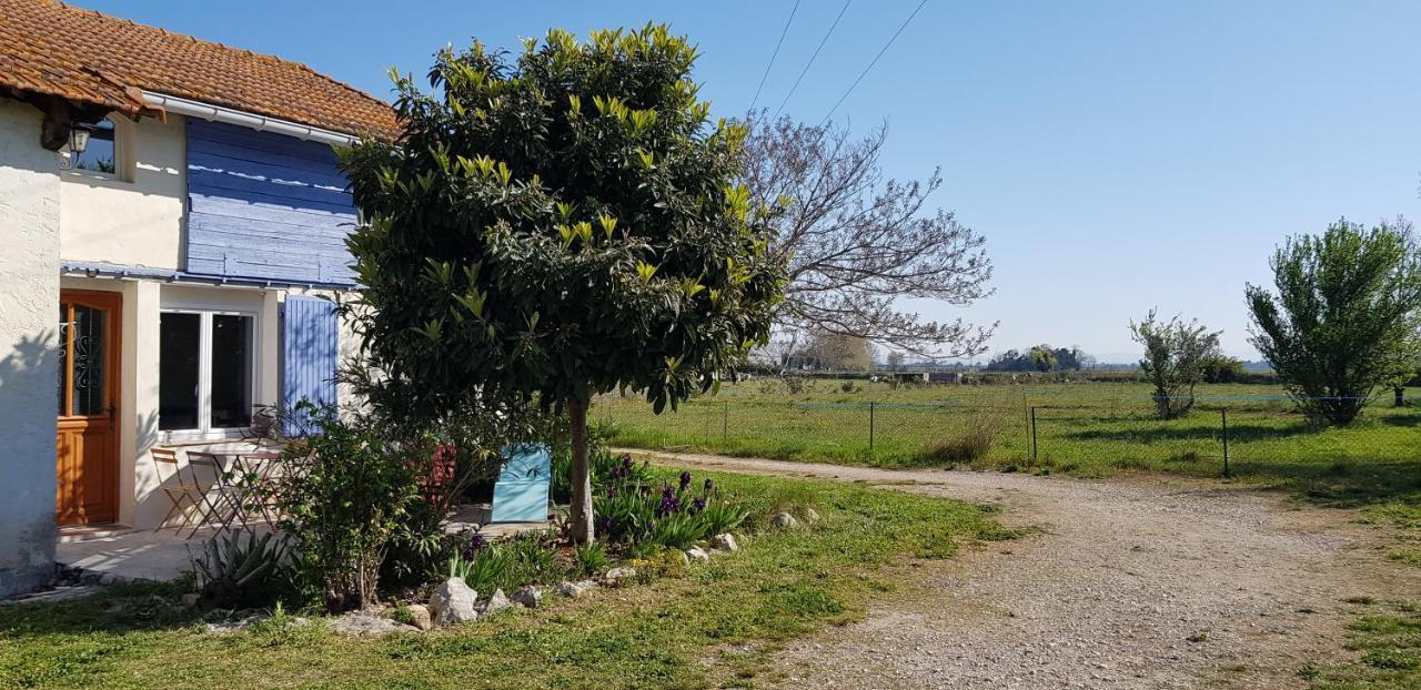 Petite Maison Refaite A Neuf Dans Mas Du 19eme Siecle Arles