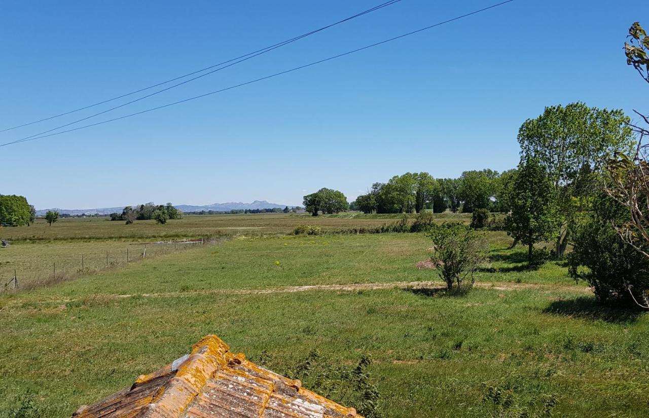 Petite Maison Refaite à Neuf Dans Mas Du 19ème Siècle Hébergement de vacances Arles