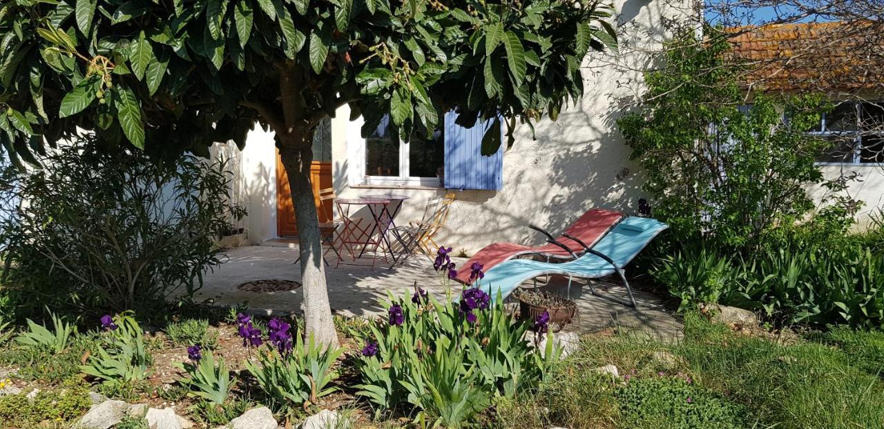 Petite Maison Refaite à Neuf Dans Mas Du 19ème Siècle Hébergement de vacances Arles